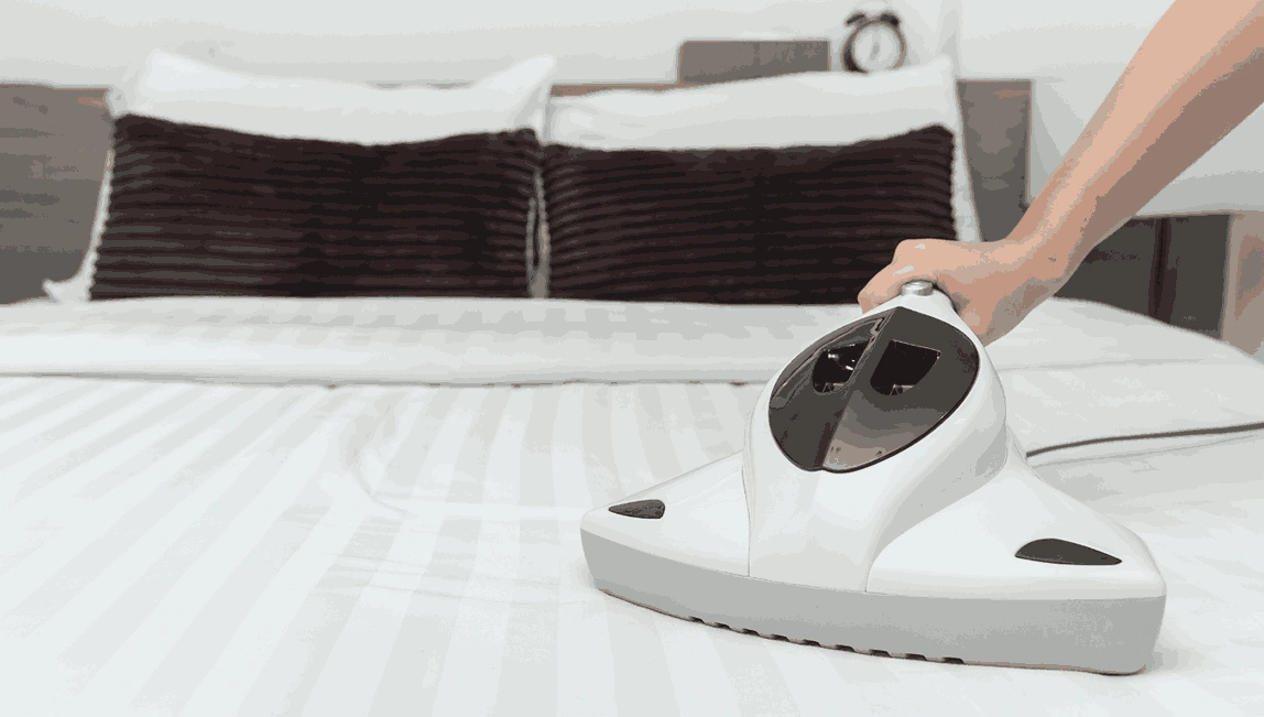 Professional Mattress Cleaning Lyndhurst